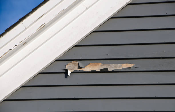 Best Property Management Cleanouts  in Decordova, TX